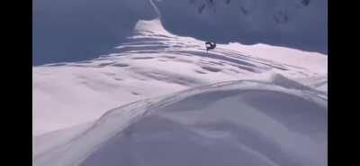 Did you know Billy Mays sold DC snowboards?