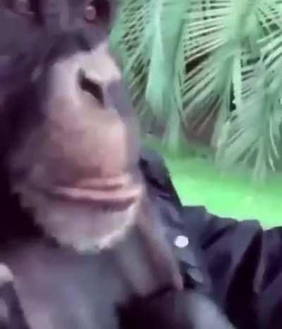 Tu envidia alimenta mi éxito 🤑🤑