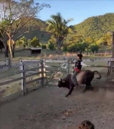 What could go wrong?