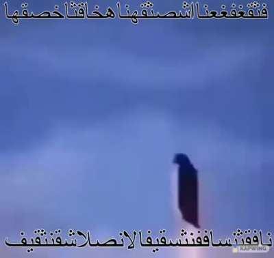 allaha inanmayan adama dersini veren penguen. İbretlik.