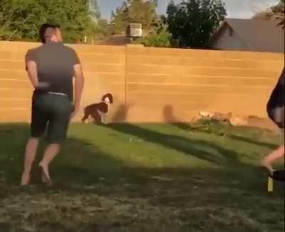 Как младший брат с неподключенным к денди джойстиком)