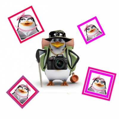 (Tudom, hogy a pingvines énén formátum nem vicces.) Ez a történet egy reménytelen szerelmet mutat be.