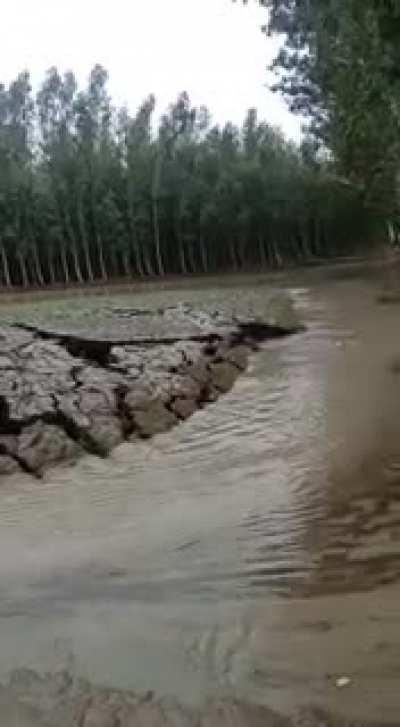 An interesting way to make a browny, but the camera work is nauseating