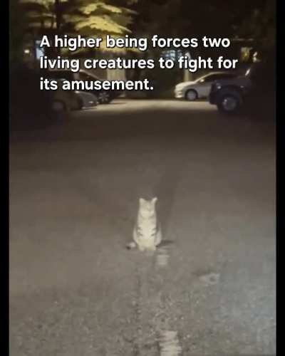 Humanity is a barbaric yet high class race.