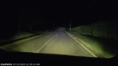 she tired to die, but did not succeed