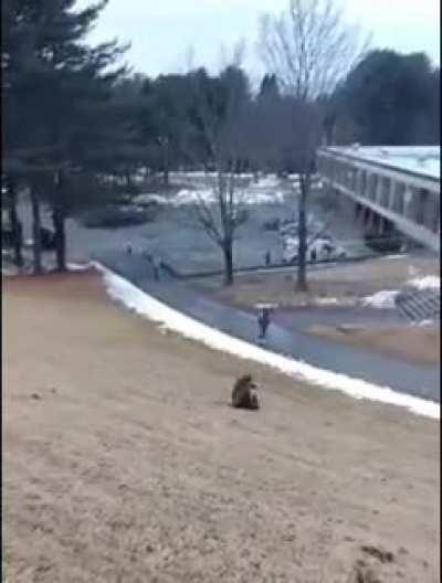 Me when Apex came out back in 2019