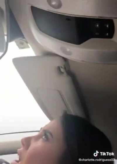 Pull over idiot! Giant spider!