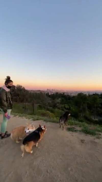 Sunset hike with these babes