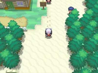 Platinum with gen 5 graphics VS original