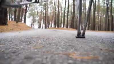 Выгуливаем велосипед