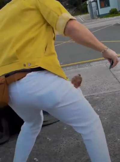 Sea lion almost attacks child after parents decide to record her mounting it