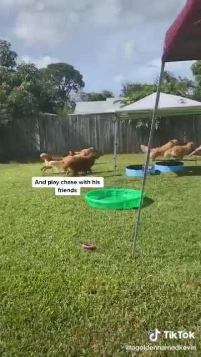 Such a wholesome birthday party.