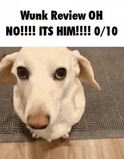 Daily Wunk Review 13