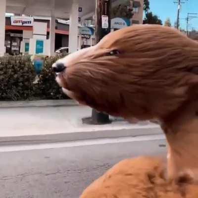 “I’m feeling good”