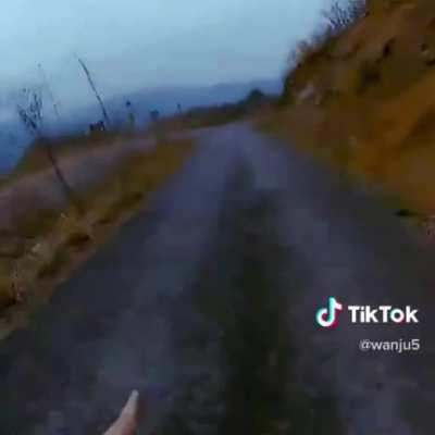 Me rushing to reach Iggy’s toilet before she flushes