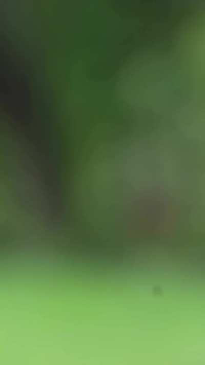 didn't expect the end 😆