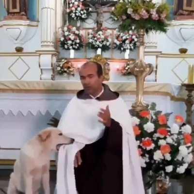 Tava com o cão no corpo!