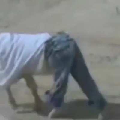 Contenido de calidad 😳