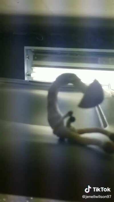 Saw this and thought y’all would like it