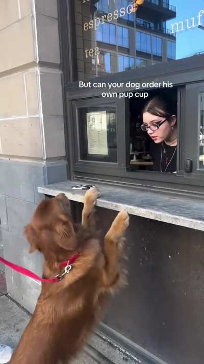 One pup cup please!!!