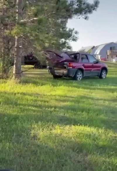 HMB while I bring down this tree