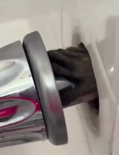 What's this thing in the bathroom?