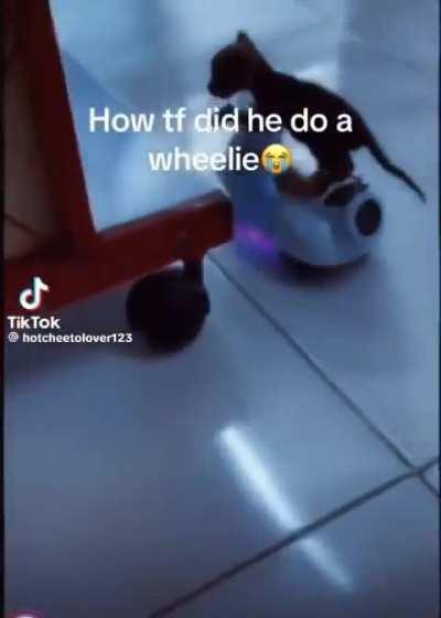 Giving my new intern a magic powered scooter was a mistake, he already outclassed me