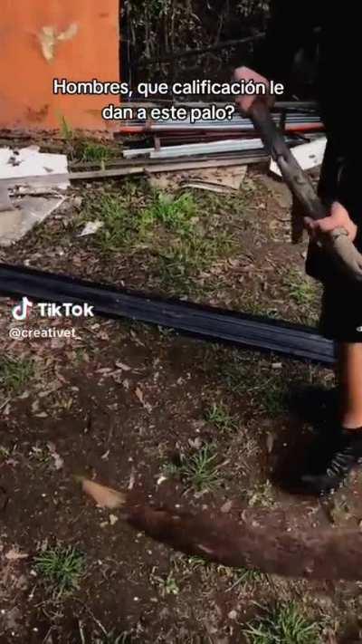 Que calificación le dan?