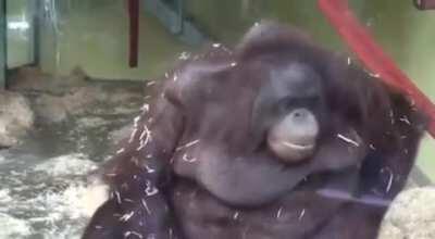 ME WHEN SOMEONE SUGGEST SOCIALISM AS A VALID AND WELL THOUGHT OUT OPTION !(WHICH IT ISN'T!)