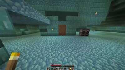 I've been working on dismantling an ocean monument in my hardcore world and figured I would take a peek outside