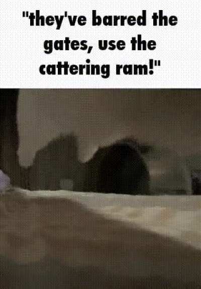 zheheais gattrin mm bam!!!!!!