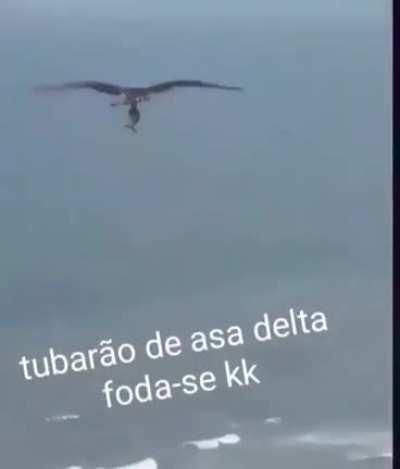 Sem comentários