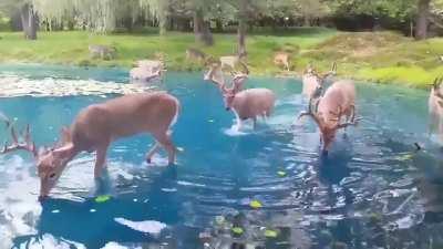 STOP SCROLLING and get some rest!