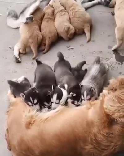 Перепутались