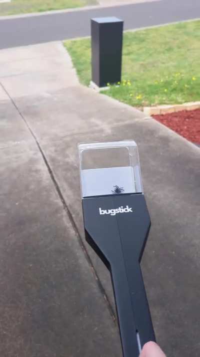 I made this tool to yeet them outside