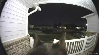 I was notified at 11:23 PM that there was a person at my door