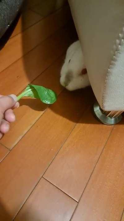 I was trying to get her to come out.. 