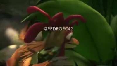 Esse frango deveria ter o próprio filme (por favor não comer o frango)