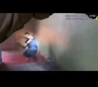 The mighty jester,manipulator of the law