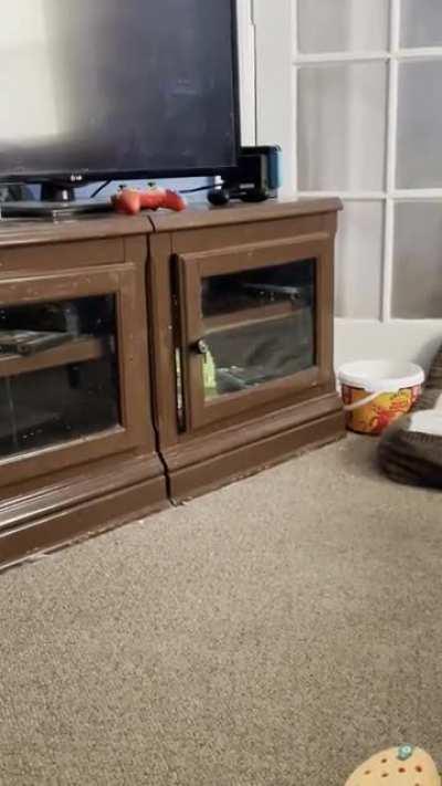 He was in there for 30+ minutes before I found him