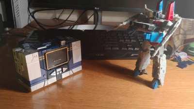 NOOO STARSCREAM WHAT ARE YOU DOING NOOOOO