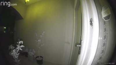 Ring camera alerted me that someone was at my door at 1am. Turns out I can never leave my home ever again.