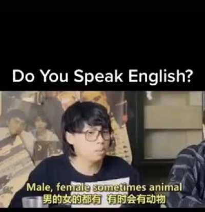 Do You Speak English?