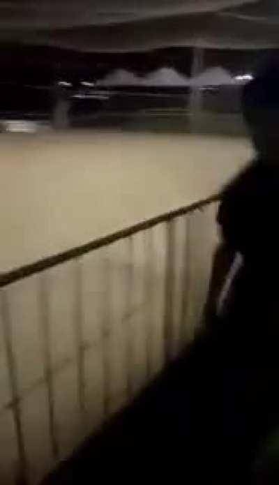 Prático e rápido, mas só não garante a sua vida