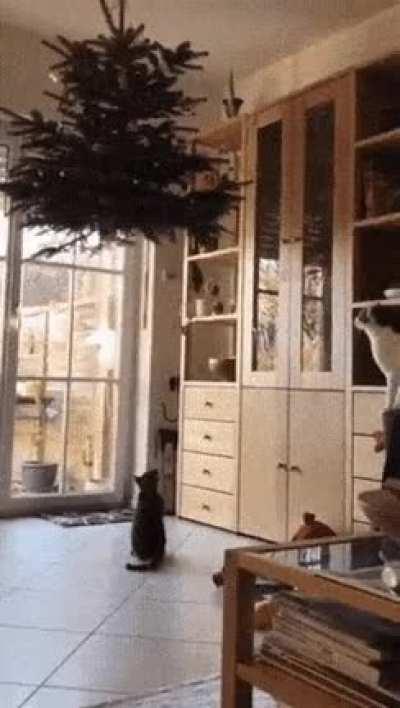 Чем сложнее задача, тем больше оснований сейчас же приступить к ней (c)