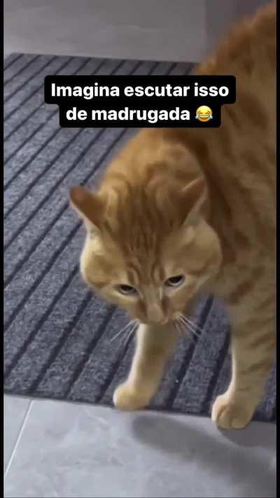 Chamem um exorcista urgente!