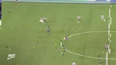 Jogadaça do Botafogo x Portugesa!