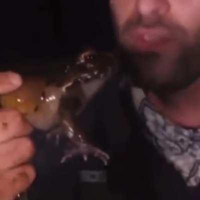 Just a Normal Wholesome Frog