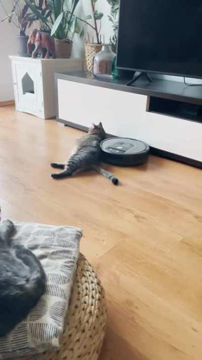 Always finding roomba with no battery in the middle of the room. Now I know why