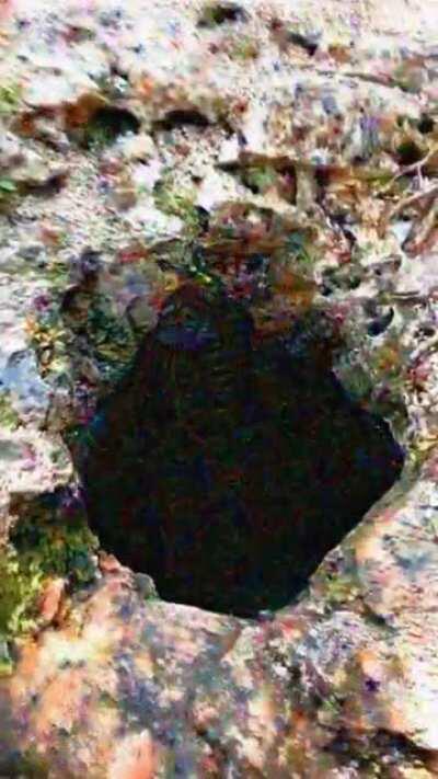 Into The Oblivion 😳